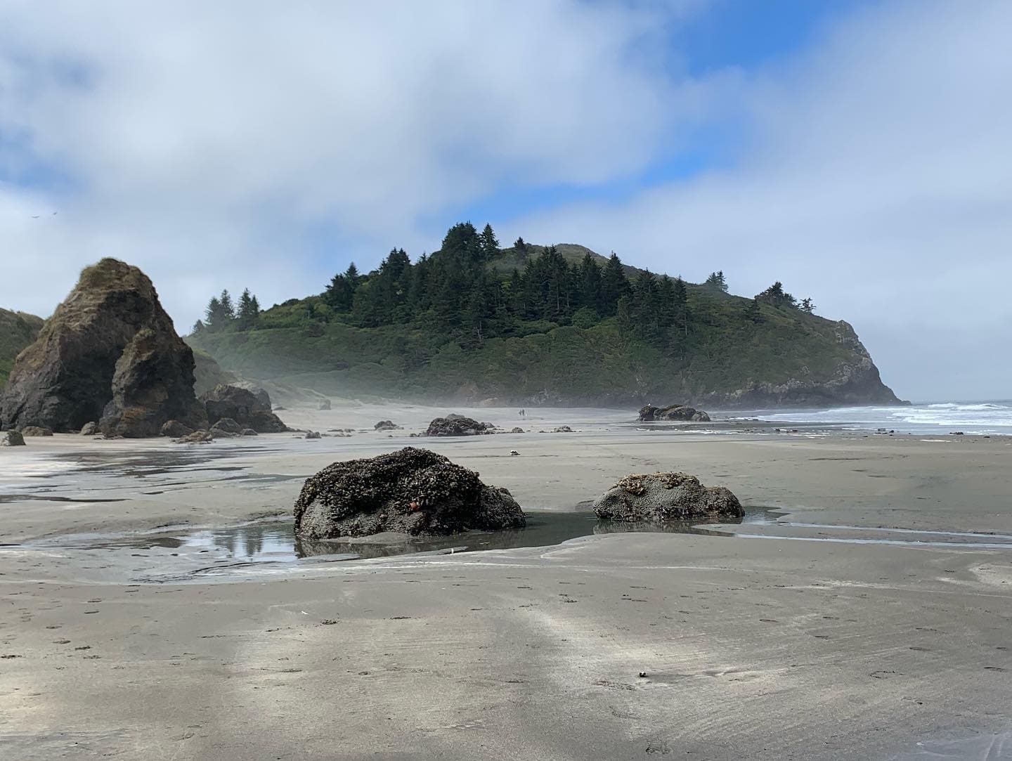 Pacific Coast near Redwood National Park