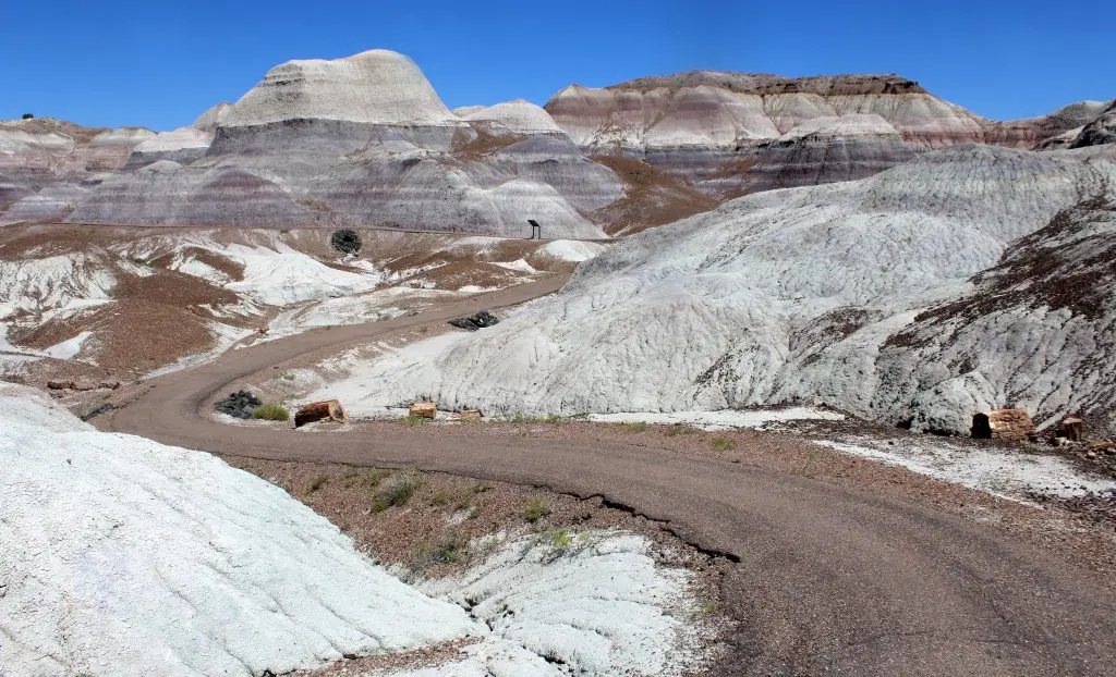 Blue Mesa Trail (credit Hallie Larsen, NPS)