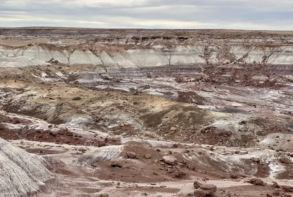 Jasper Forest in Petrified Forest National Park.