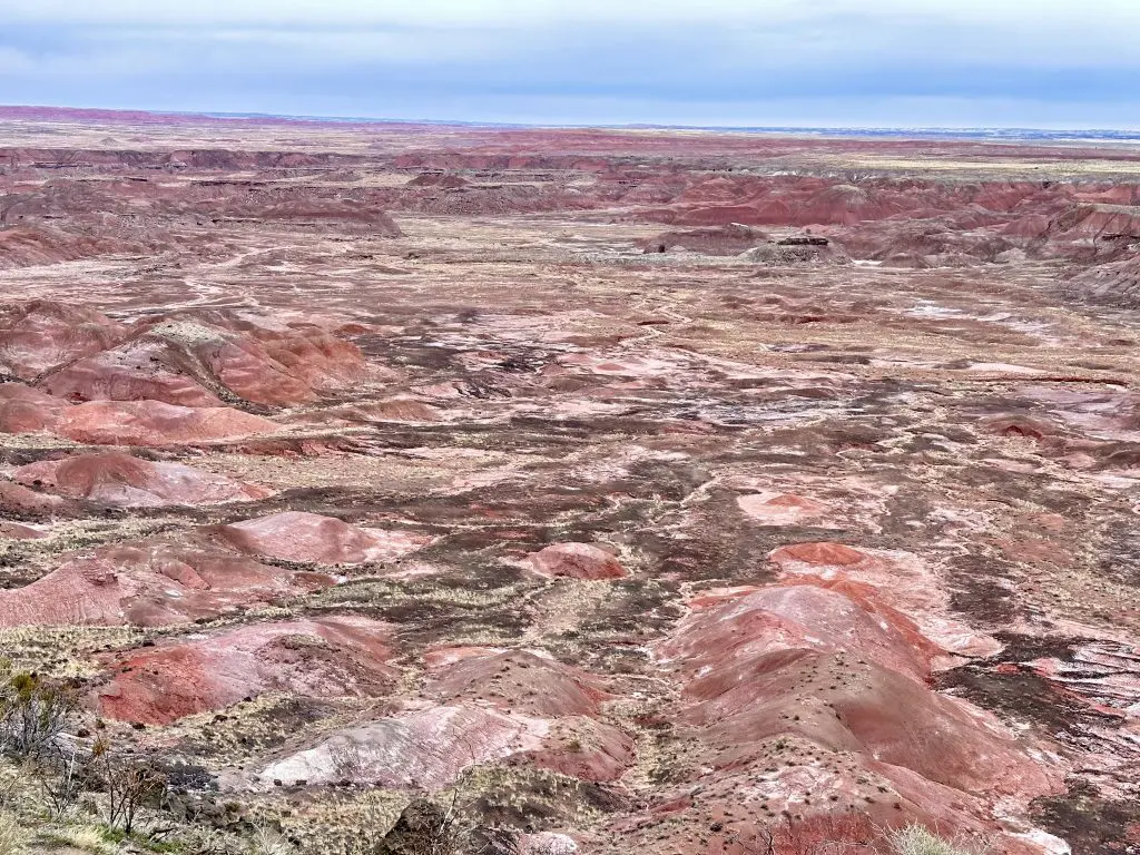 Painted Desert Wilderness Area on the north end of Petrified Forest National Park.