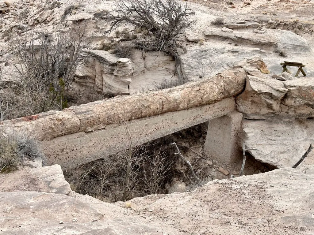 110-foot-long petrified log serves as Agate Bridge in Petrified Forest National Park.