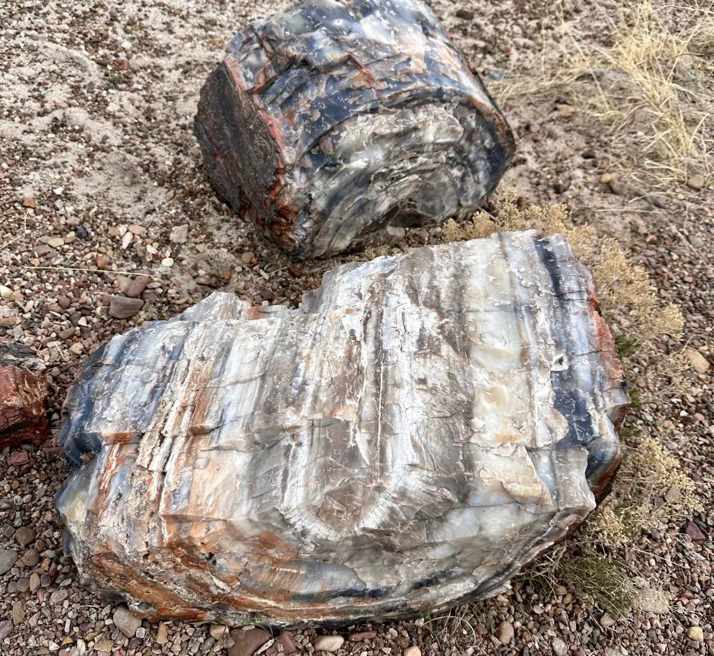 Colorful crystals show the beauty of the petrified logs in Crystal Forest