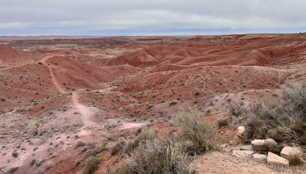 Tiponi Point on the north end of Petrified Forest National Park